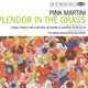 Splendor in the Grass album thumbnail